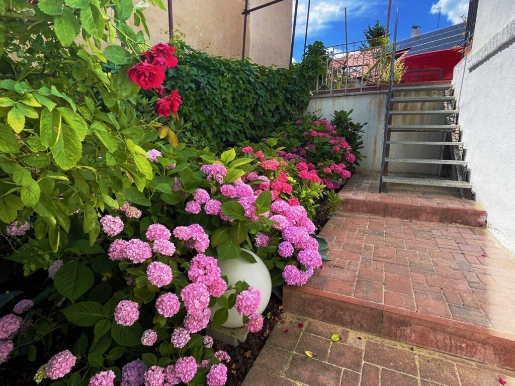 Houska garden - realizace zahrad