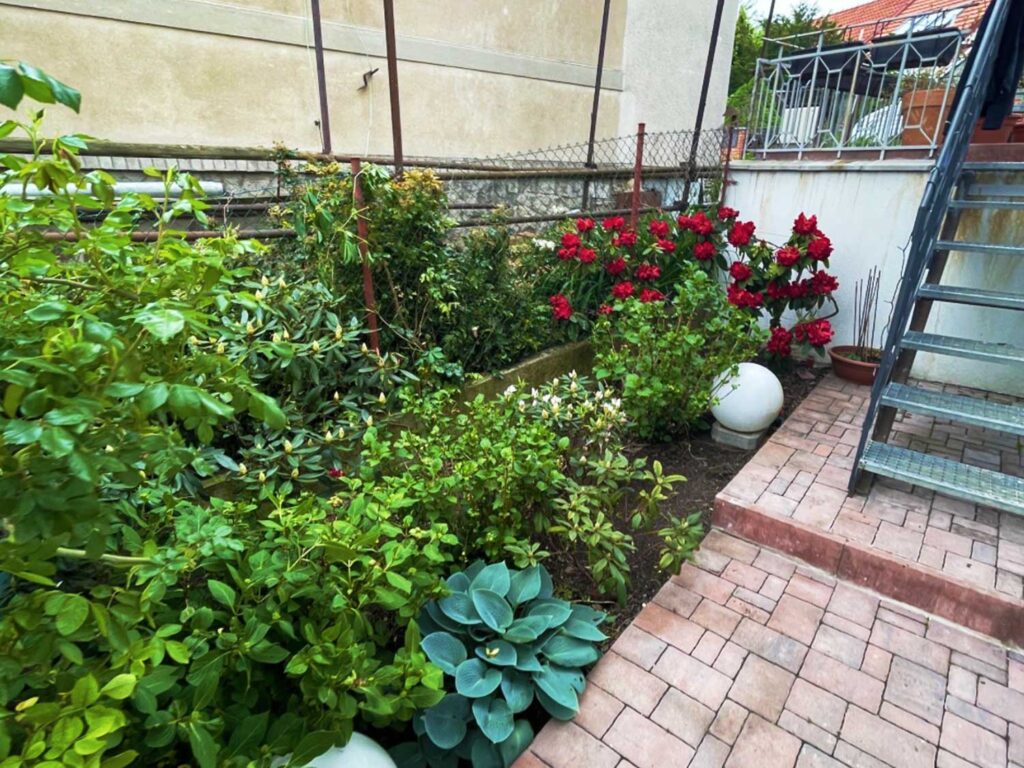 Houska garden - realizace zahrad